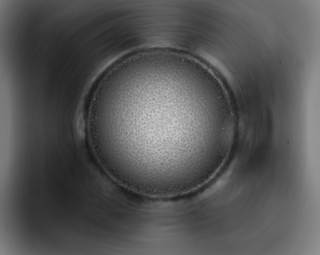 X0000093090925200710031809