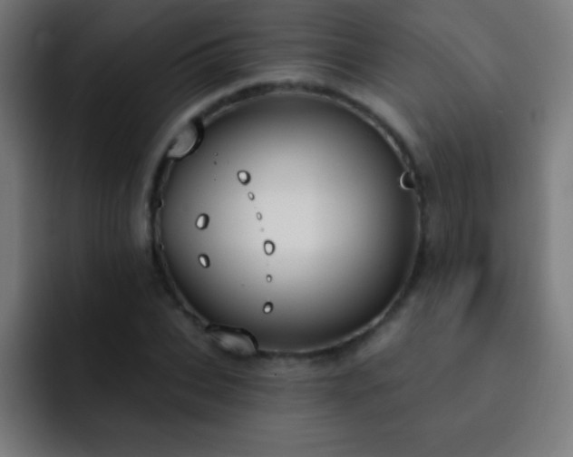 X0000093090927200710031809