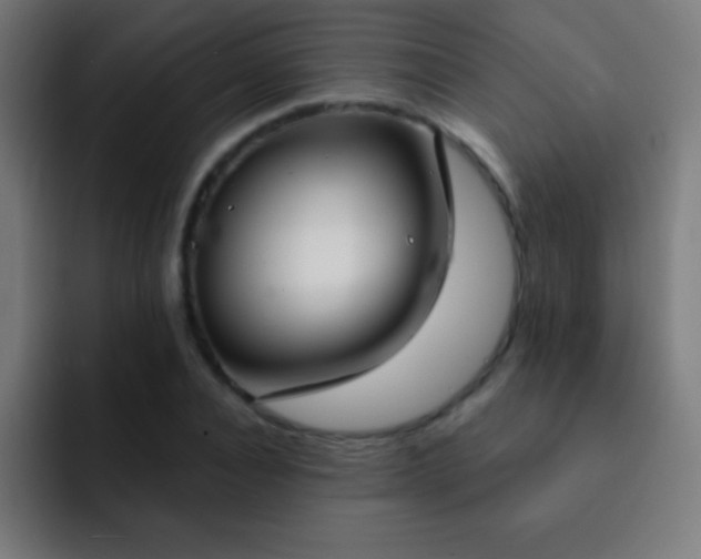 X0000093090928200710031809