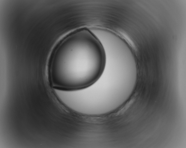 X0000093090932200710031809