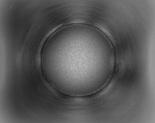 X0000093090933200710031809