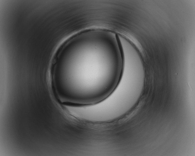 X0000093090936200710031809