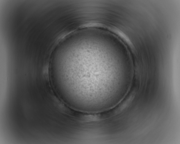 X0000093090937200710031809