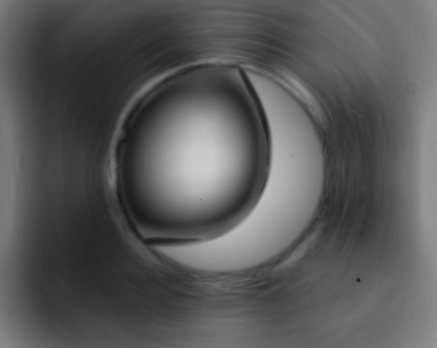 X0000093090940200710031809