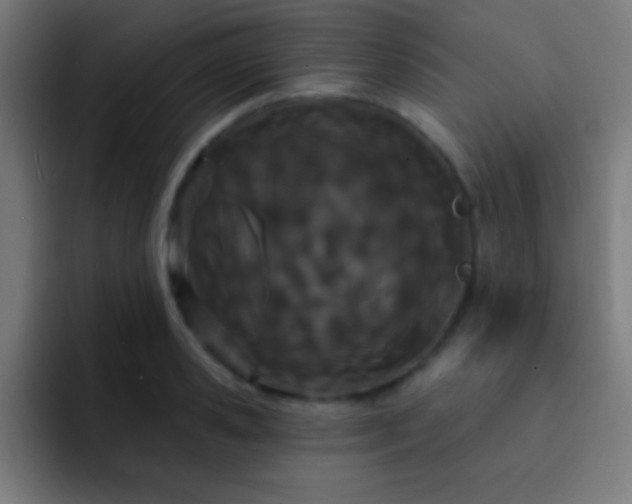 X0000093090941200710031809