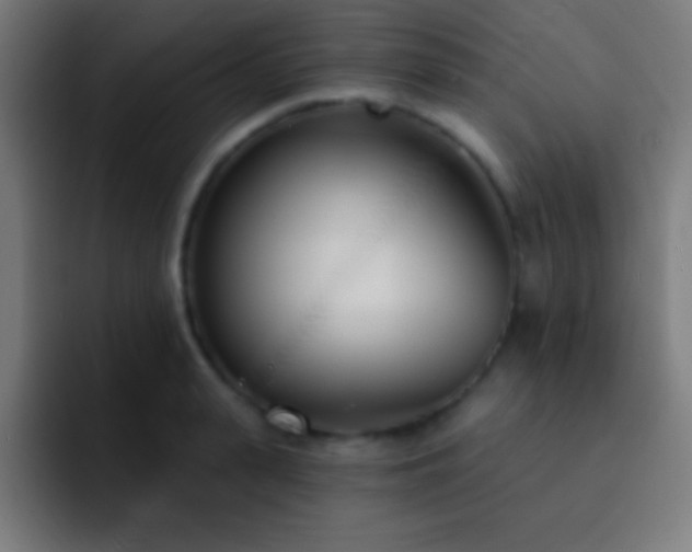 X0000093090943200710031809