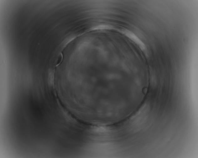 X0000093090945200710031809