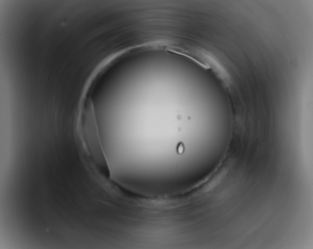 X0000093090948200710031809