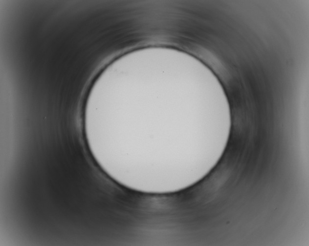 X0000093090950200710031809