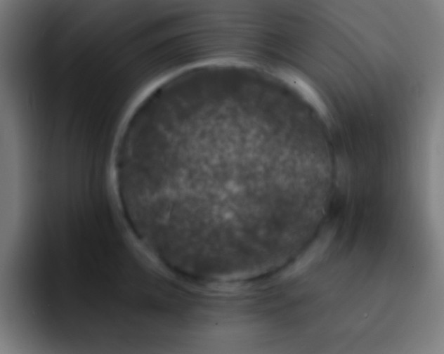 X0000093090952200710031809