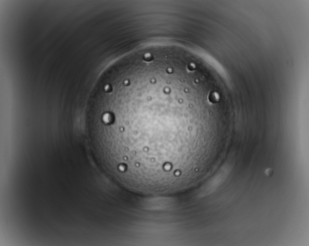 X0000093090953200710031809