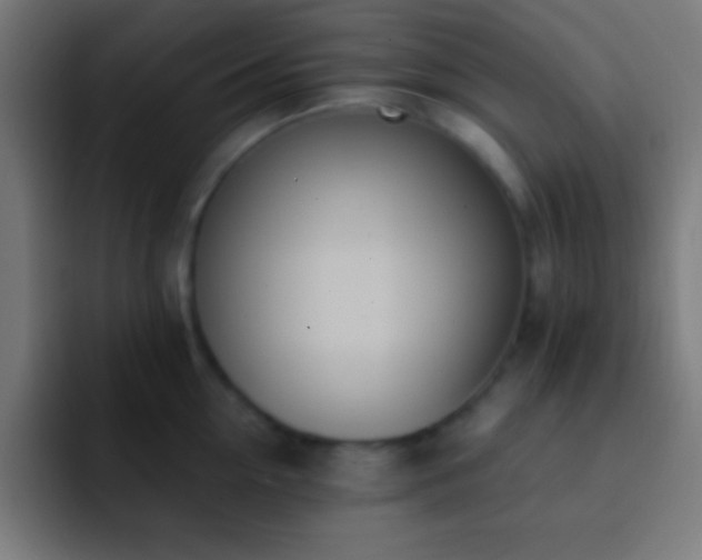 X0000093090954200710031809