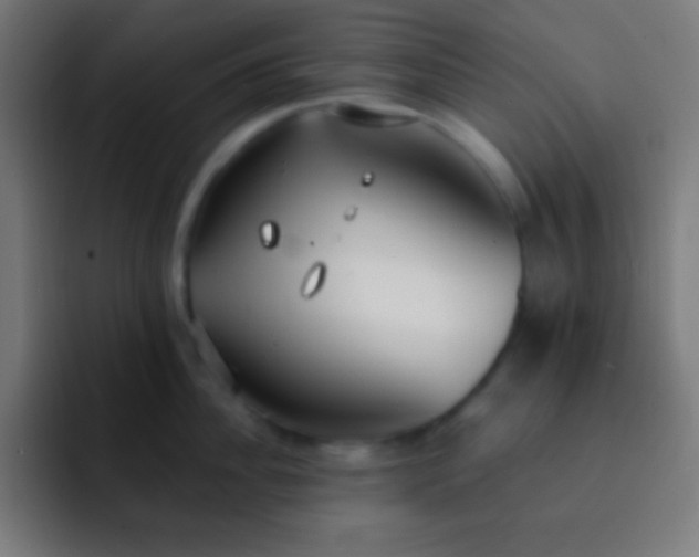 X0000093090956200710031809