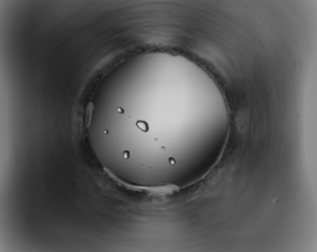 X0000093090968200710031809