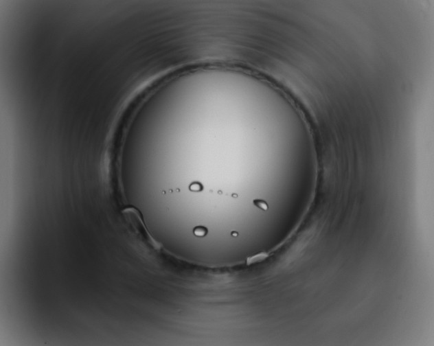 X0000093090975200710031809