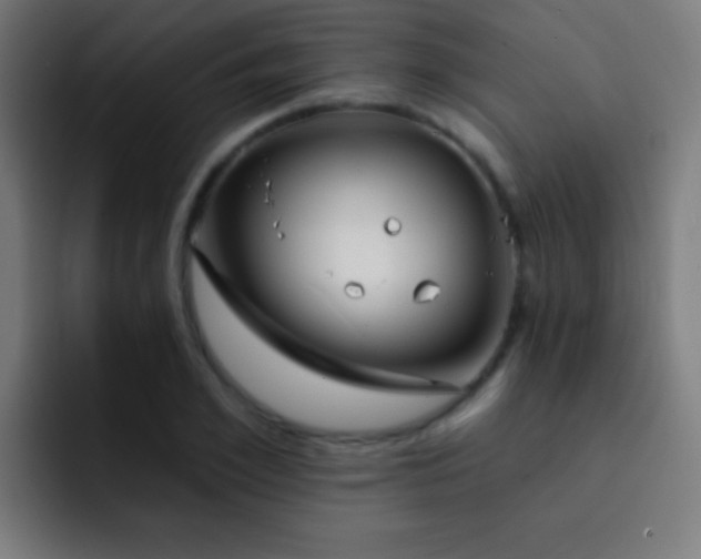 X0000093090981200710031809