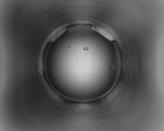 X0000093090984200710031809