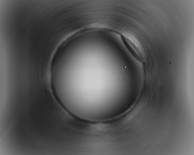 X0000093090992200710031809