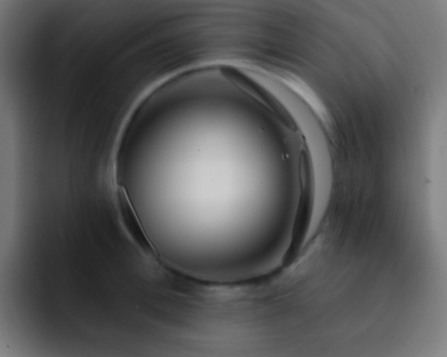 X0000093090996200710031808