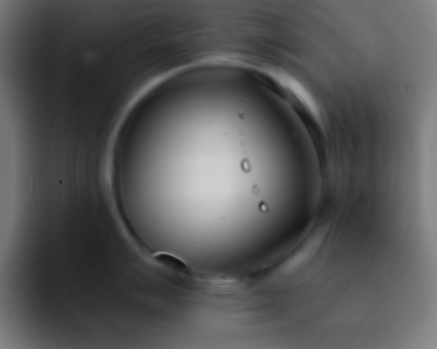 X0000093091007200710031808