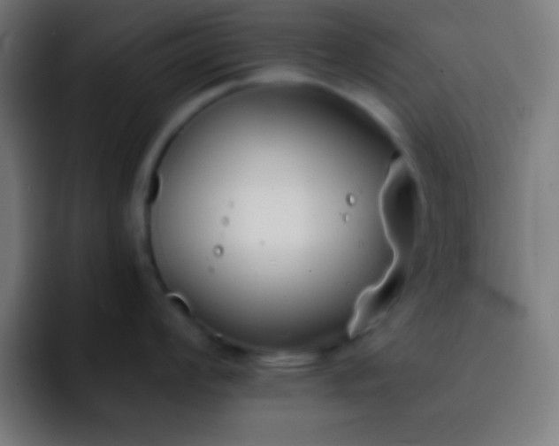 X0000093091008200710031808