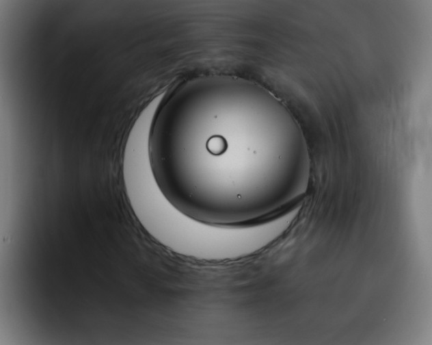 X0000093091010200710031808