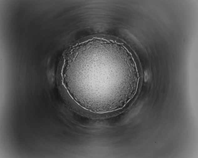 X0000093091011200710031808