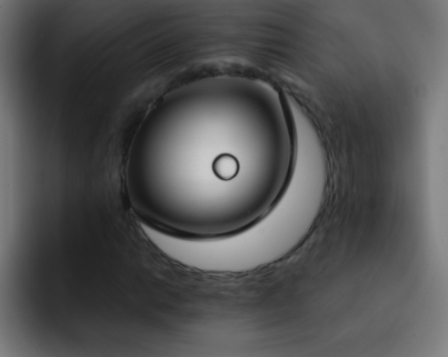 X0000093091014200710031808