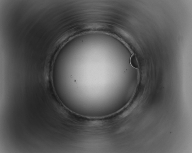 X0000093091017200710031808