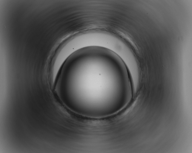 X0000093091018200710031808