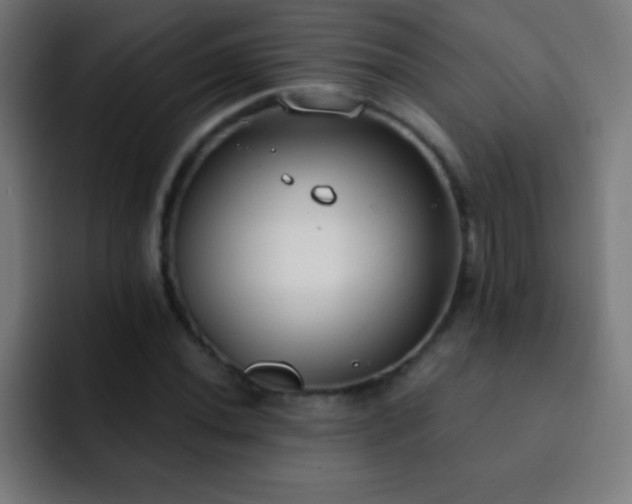 X0000093091020200710031808