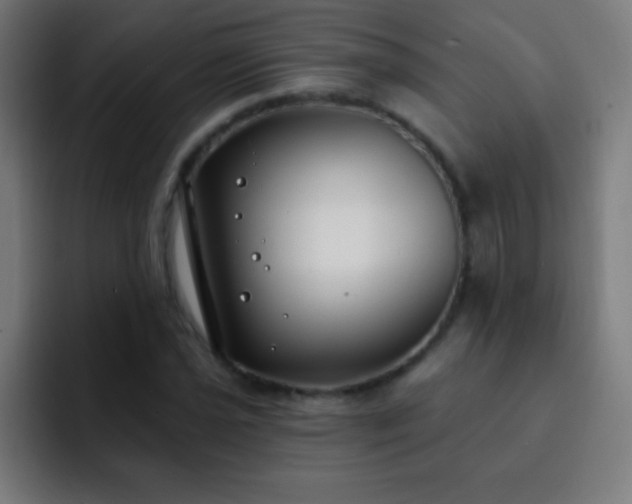 X0000093091021200710031808