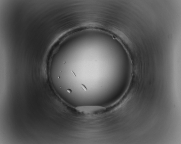 X0000093091022200710031808