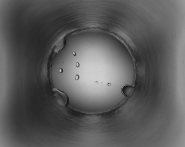 X0000093091023200710031808