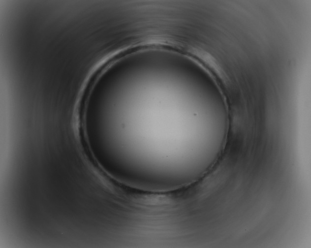 X0000093091024200710031808