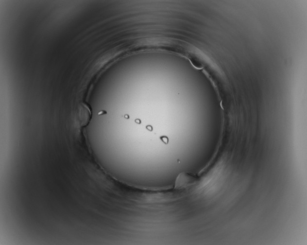 X0000093091025200710031808