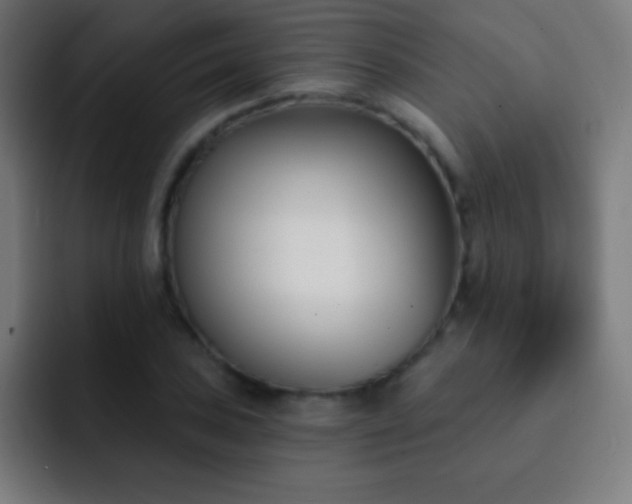 X0000093091027200710031808