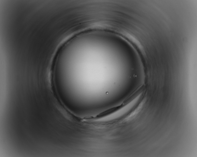 X0000093091029200710031808