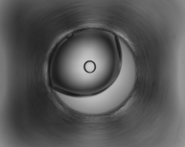 X0000093091030200710031808