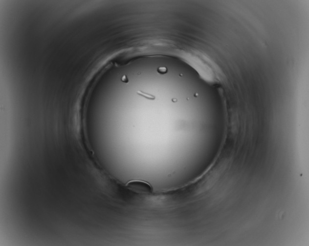 X0000093091031200710031808