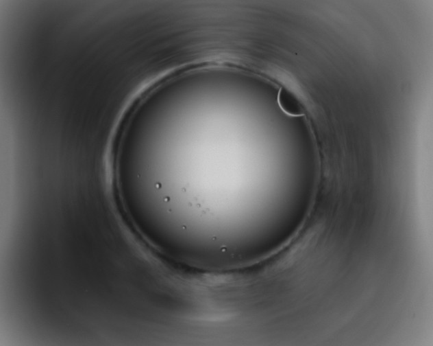 X0000093091032200710031808