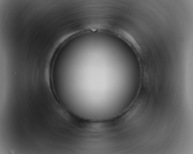 X0000093091035200710031808