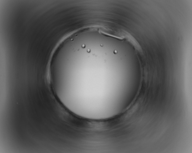 X0000093091036200710031808