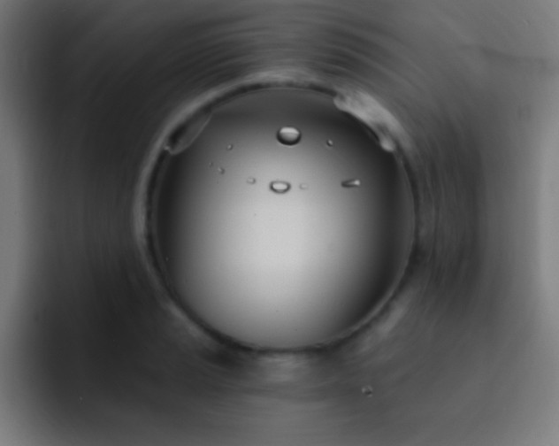 X0000093091037200710031808