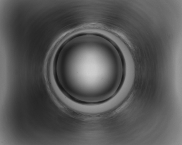 X0000093091038200710031808