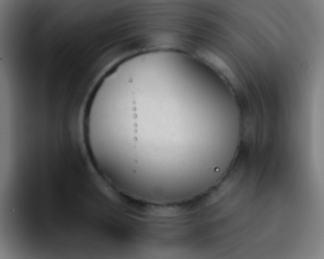 X0000093091039200710031808