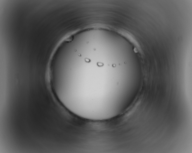 X0000093091040200710031808