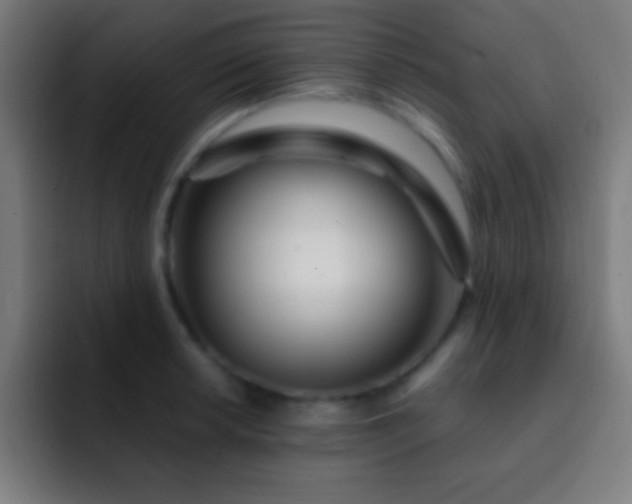 X0000093091042200710031808