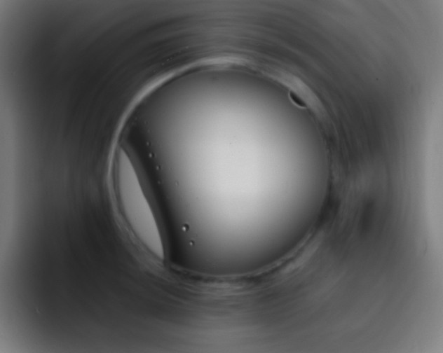 X0000093091044200710031808