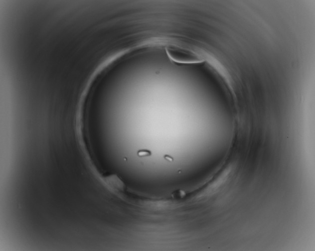 X0000093091045200710031808